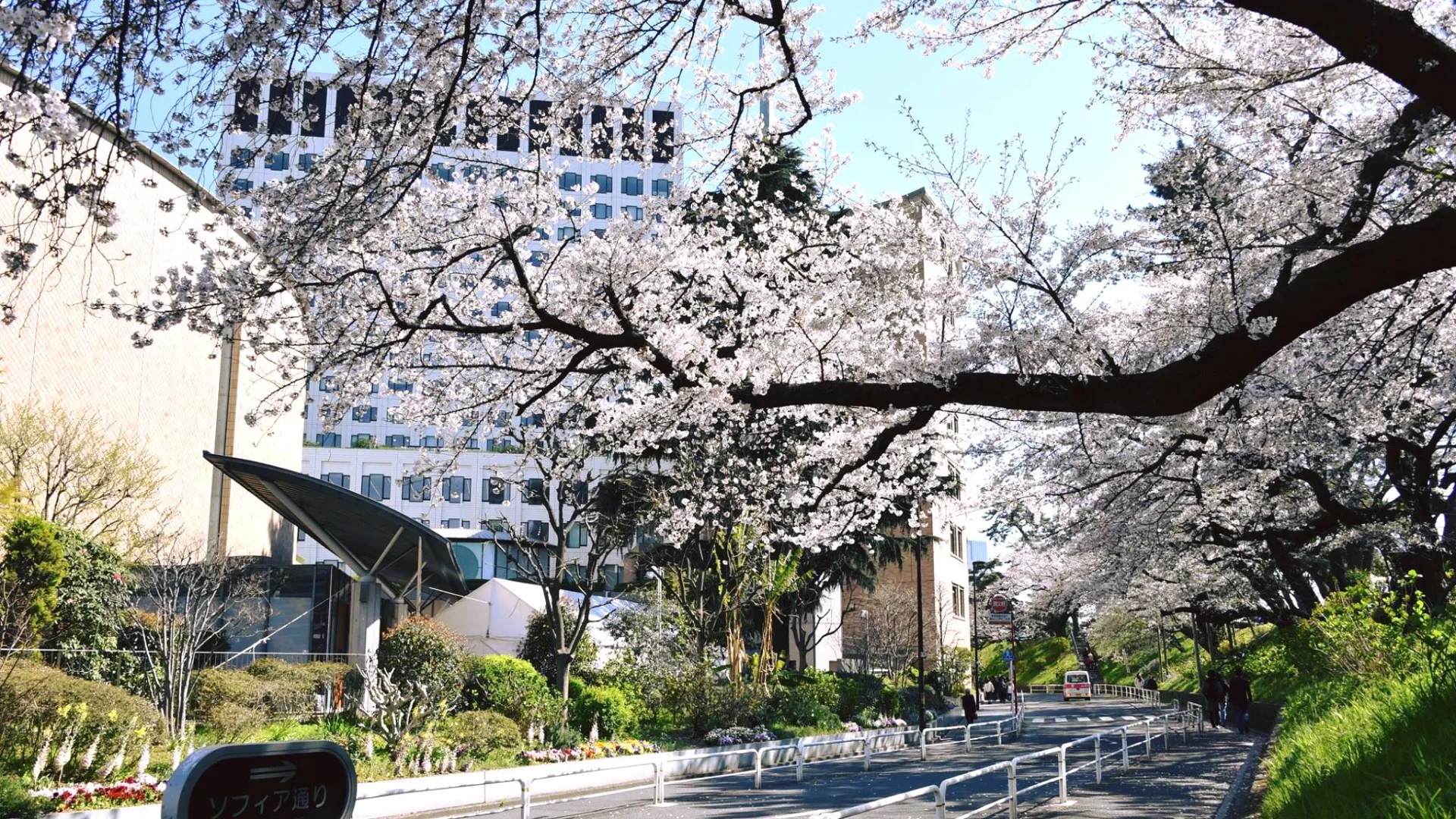 campus in spring