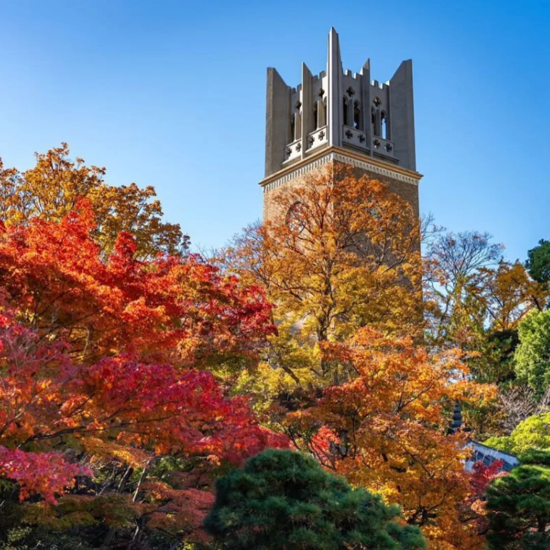 campus fall